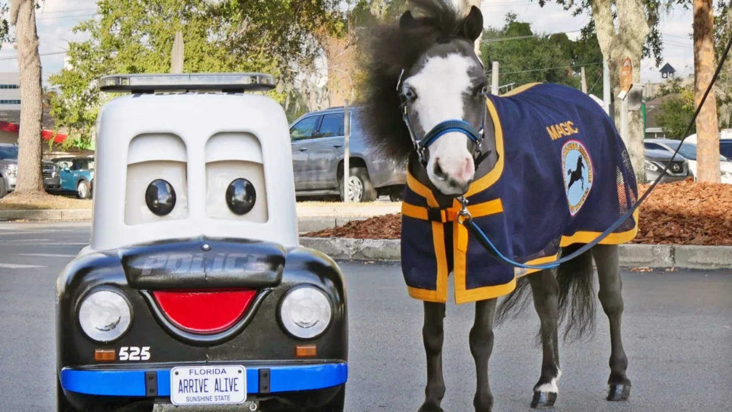 This miniature therapy horse is the newest member of the Ocala Police Department